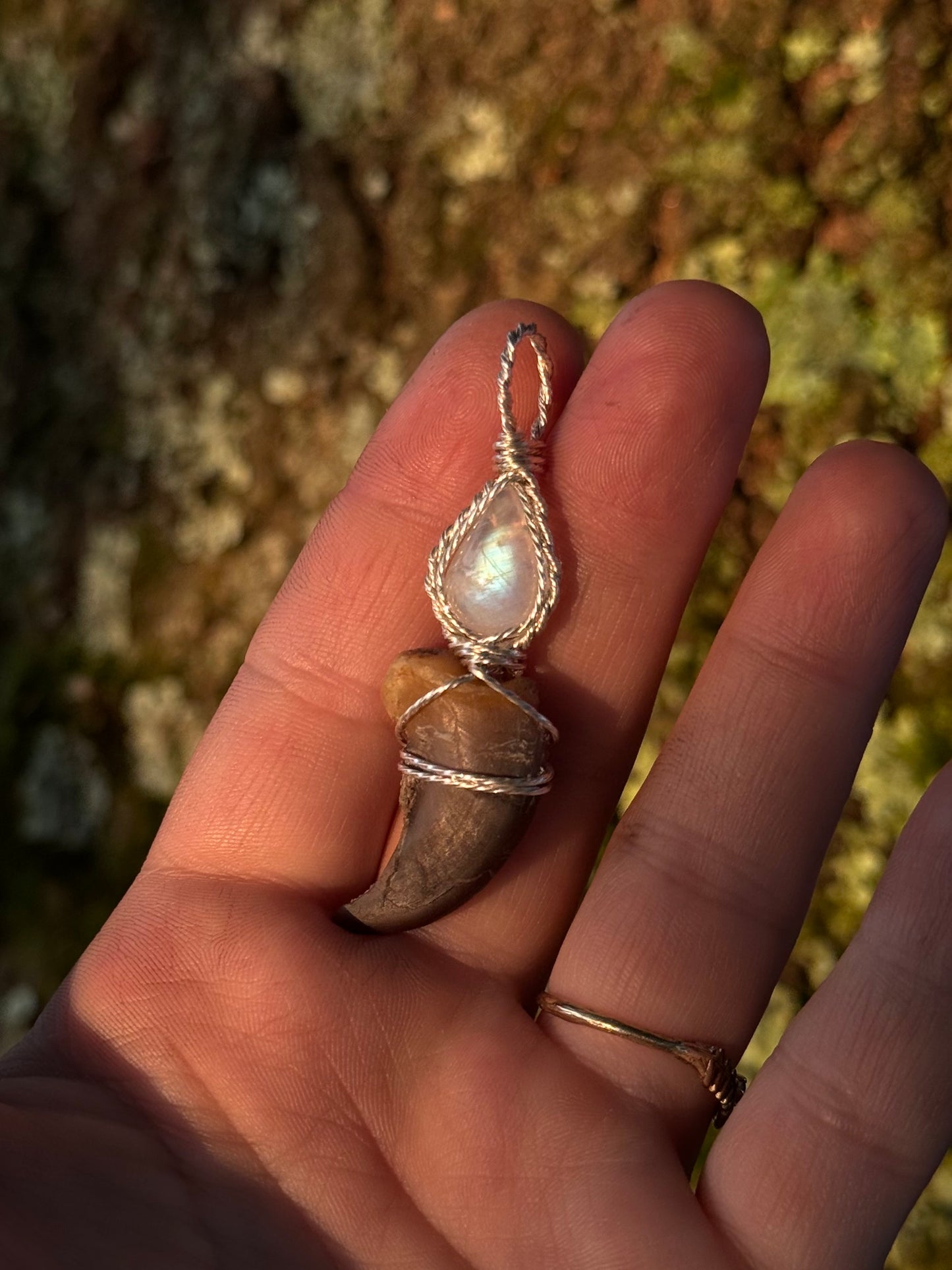 Moonstone & Claw in Sterling