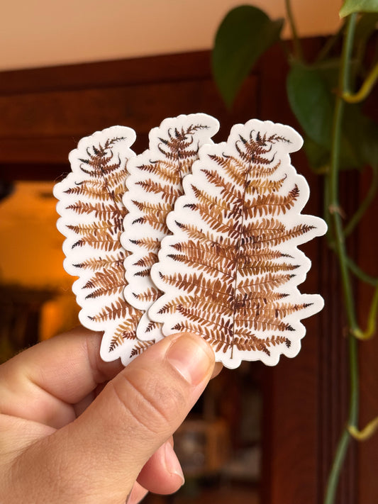 Watercolor Cinnamon Fern 3" Sticker