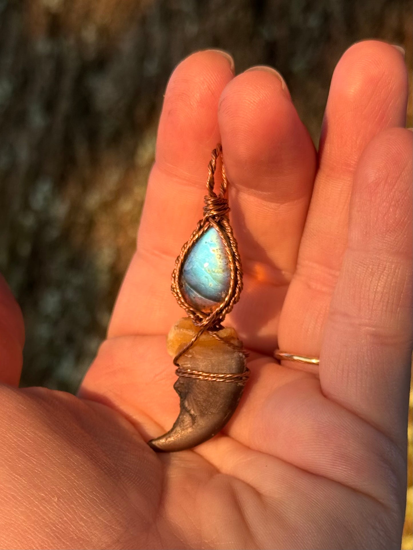 Labradorite & Claw