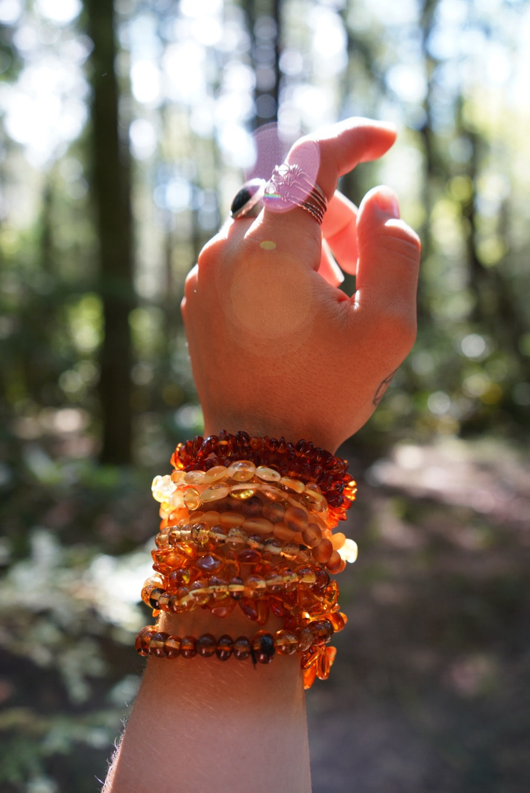 Baltic Amber Stretchy Bracelets