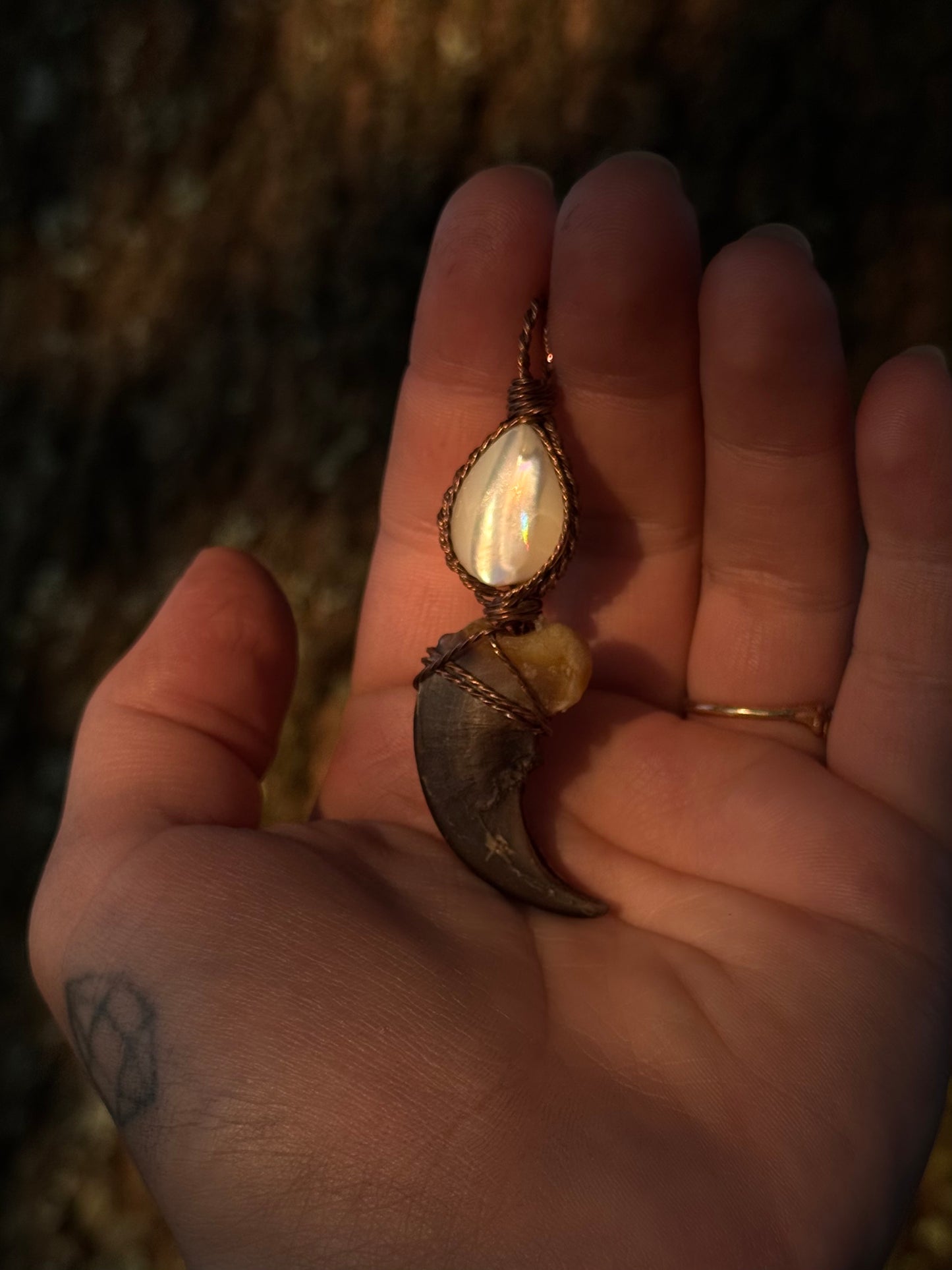 Pearl & Claw