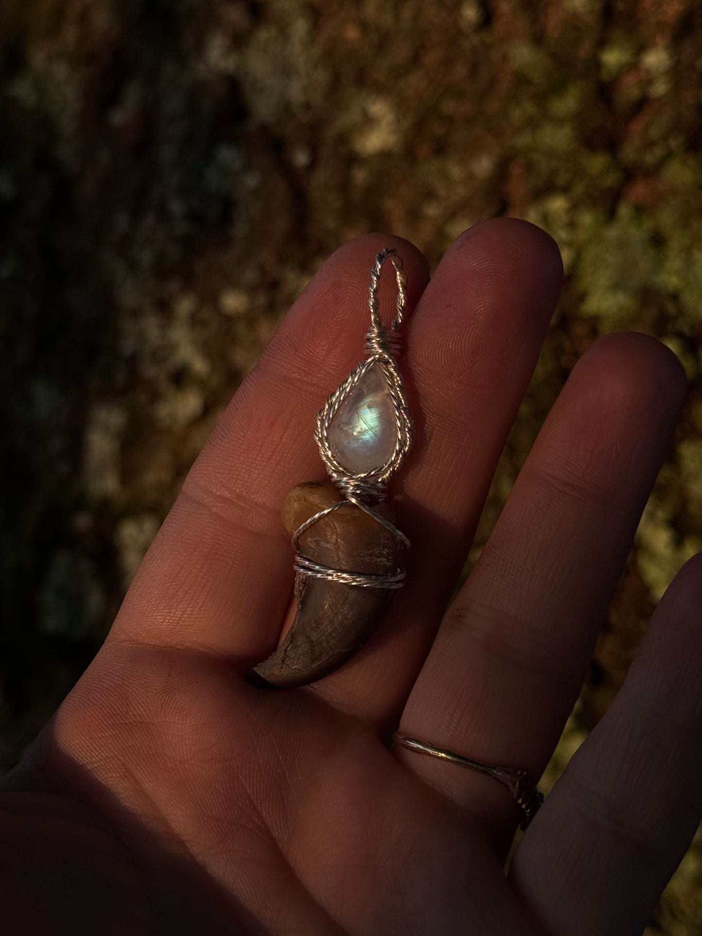Moonstone & Claw in Sterling