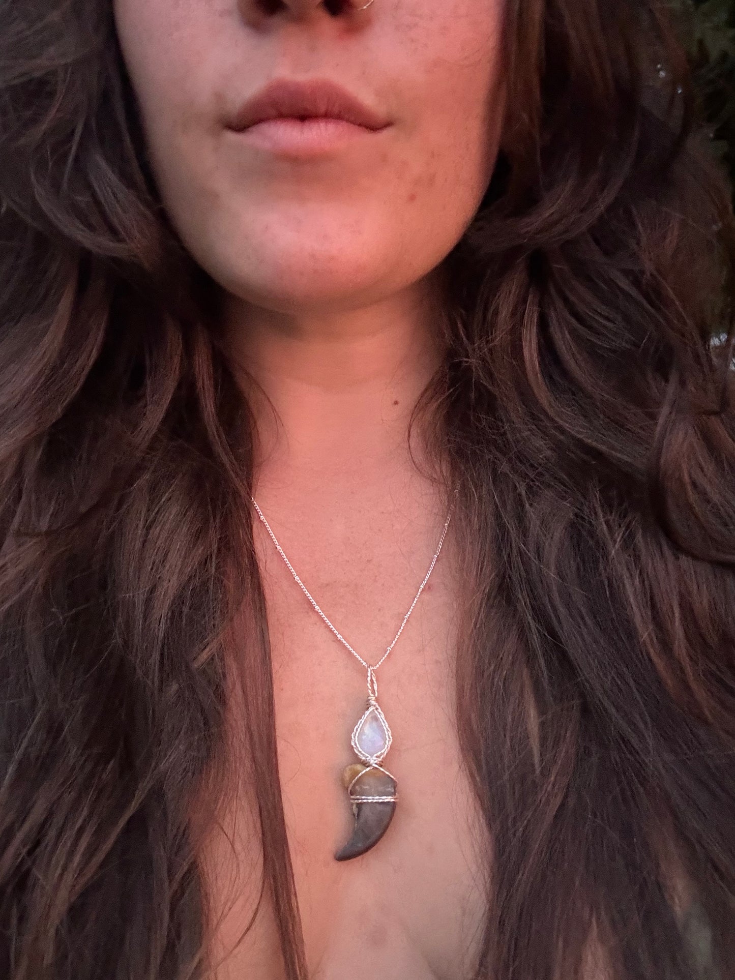 Moonstone & Claw in Sterling