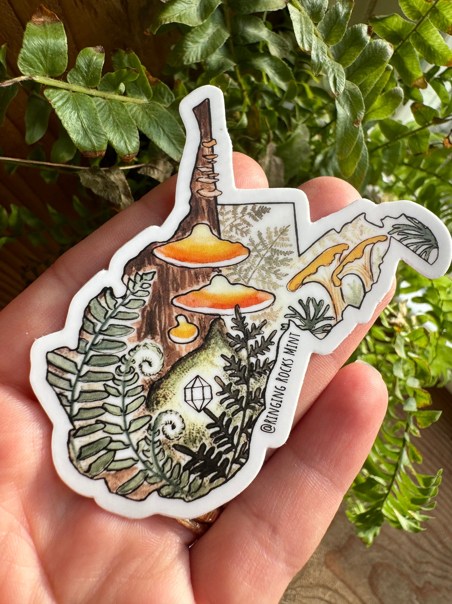 Fern & Fungi West Virginia 3" Sticker