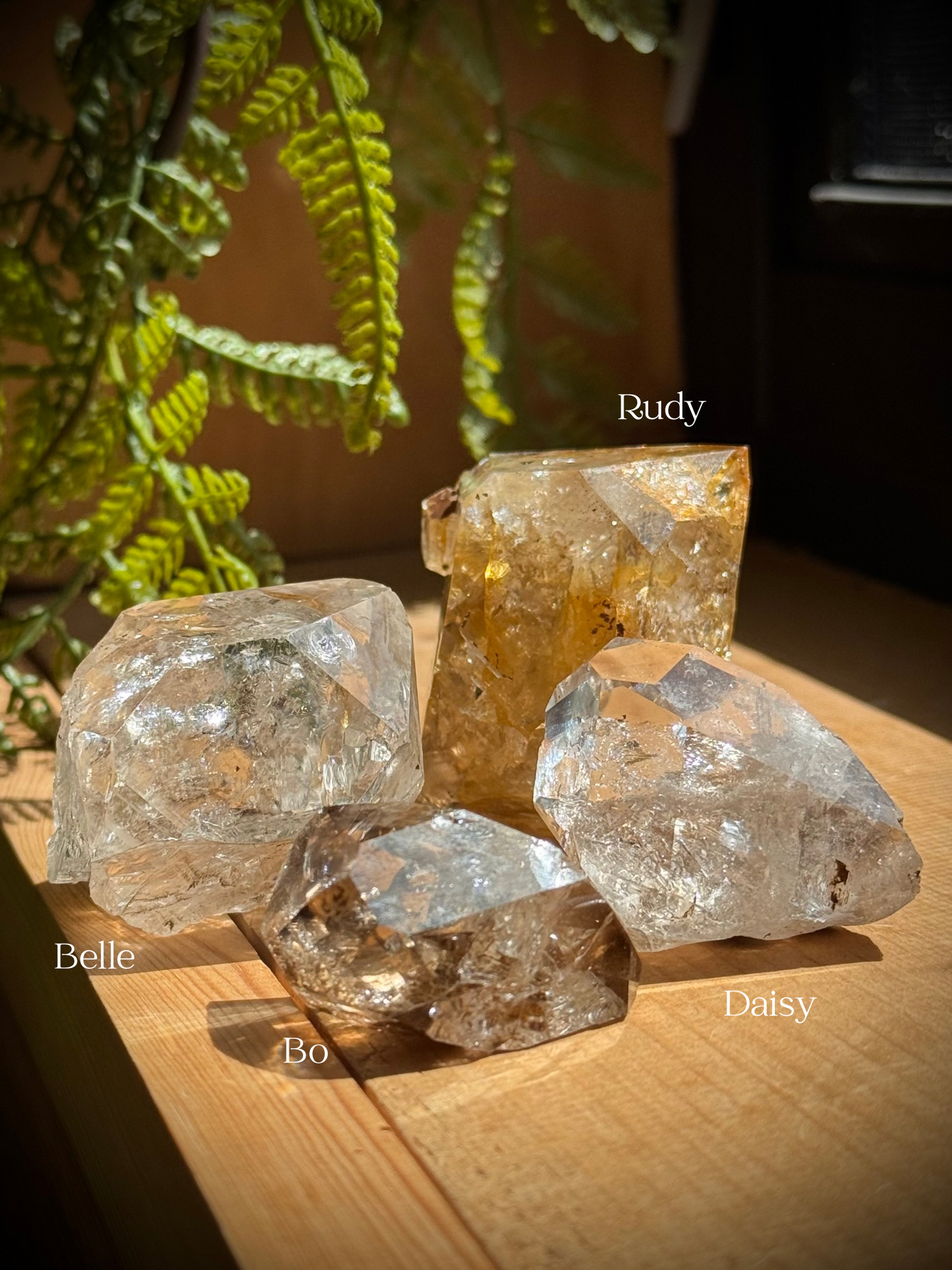 Herkimer Diamond Collection Piece ~ Daisy