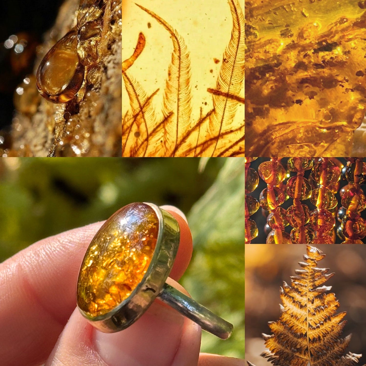 Genuine Baltic Amber