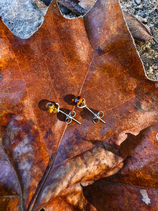 Baltic Amber Solid Sterling Silver Stud Earrings