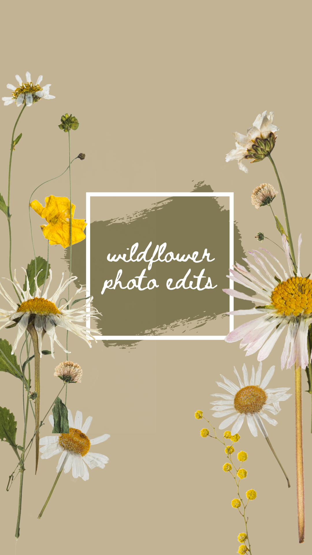 Wildflower Digital Photo Edits