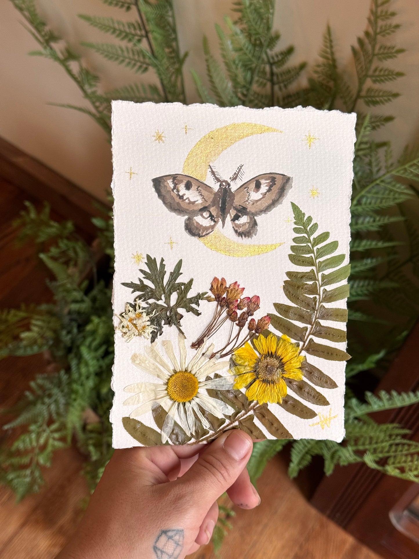 Moth painting D for Bonnie