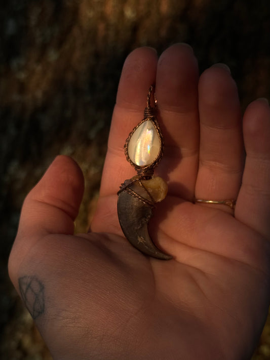 Pearl & Claw