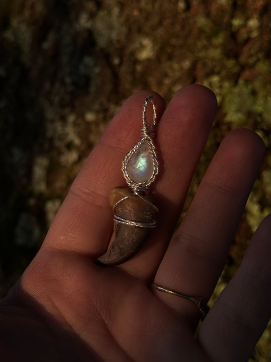 Moonstone & Claw in Sterling