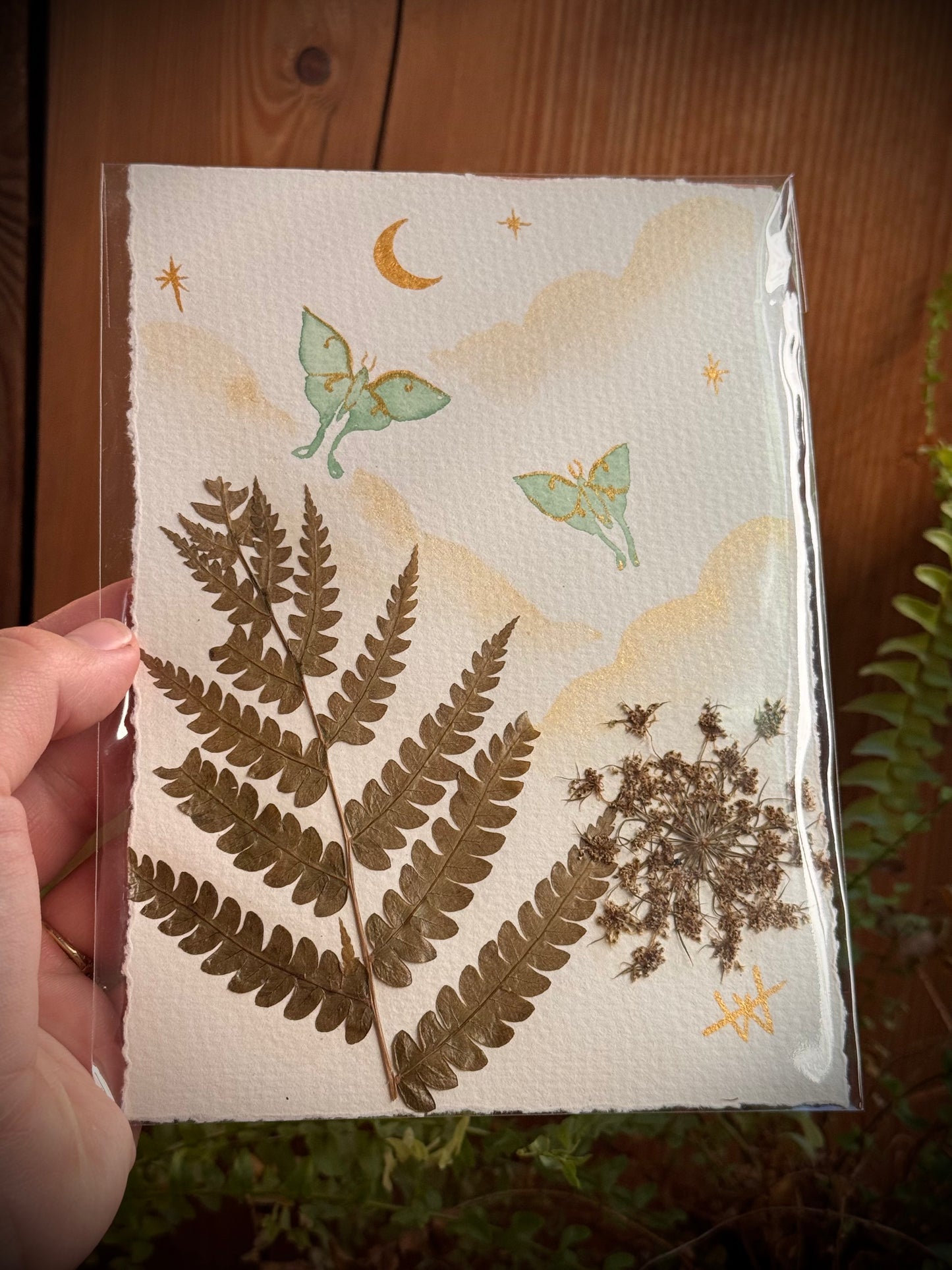 Luna Moth Watercolor and botanical painting 5x7