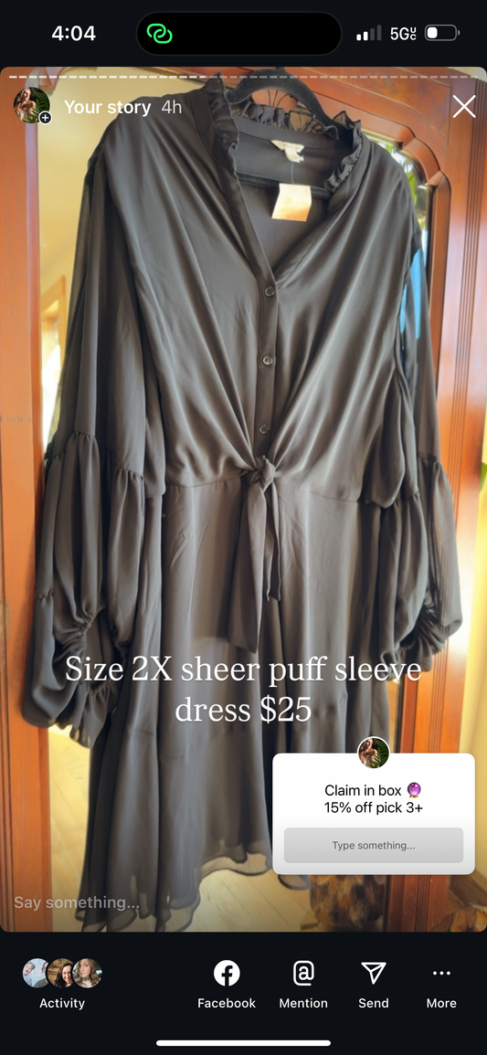 2X sheer sleeve dress